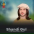 Shandi Gul
