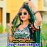 Singer Sonu Deewana