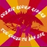 Cosmic Rough Riders