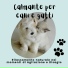 Mindfulness Cani