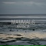 Mammals