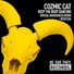Cozmic Cat