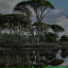 Sueño Lucido, Ambiente, Meditar Profundamente