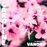 VanDre' feat. OhDatzAmes