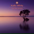 Audio Infinity Alexander Stroganov