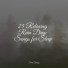 Musica Relajante, Yoga Music, Rainforest Sounds
