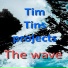 Tim Tins projects