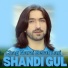 Shandi Gul
