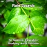 Yoga, Rain Sounds, Nature Sounds