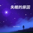 逸霄, 音格概念
