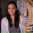 The Healing Room ASMR
