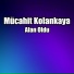 Mücahit Kolankaya