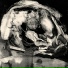 Calamita