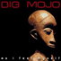 Big Mojo