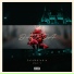 D-Rosa feat. Ace Rochy