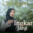 Cut Rani Auliza