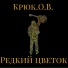 Крюк.О.В.