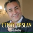 Cenay Arslan