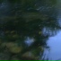 Okonia