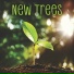 NeSim