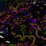 Hellworker, KIDTHEMOLLY, 1BlackIce4