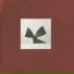 Flaer