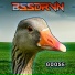BSSDRVN