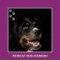 Dog Anxiety Relief