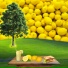 MC Tweeza, Lemonadedrinker1488