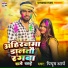 Piyush Arya