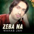 Wahab Jan