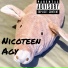 Nicoteen