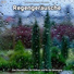 Greta Helzen, Rain Sounds, Nature Sounds