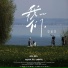 李金洋