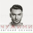 Евгений Окунев