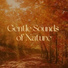 The Nature Soundscapes