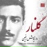 Dariush Rafiee