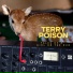 Terry Poison ft. Violet Vision