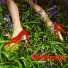 Goldfrapp