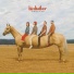 Birdtalker