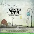 שרית חדד