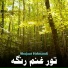 Shujaat Helmandi