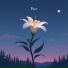 Luminary