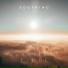 The Healing Project, Schola Camerata