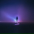 Exitvision