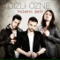 Gizli Özne