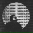 ERICK DNVR feat. TheyCallHimAP, FénixPoetry