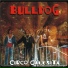 Bulldog