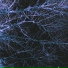Poisonpsihx