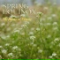 Real Spring